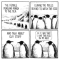 Just penguin talks