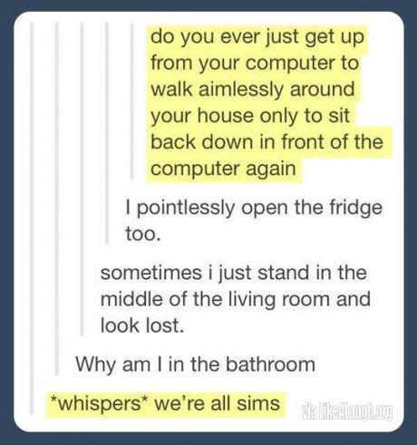Sims - meme
