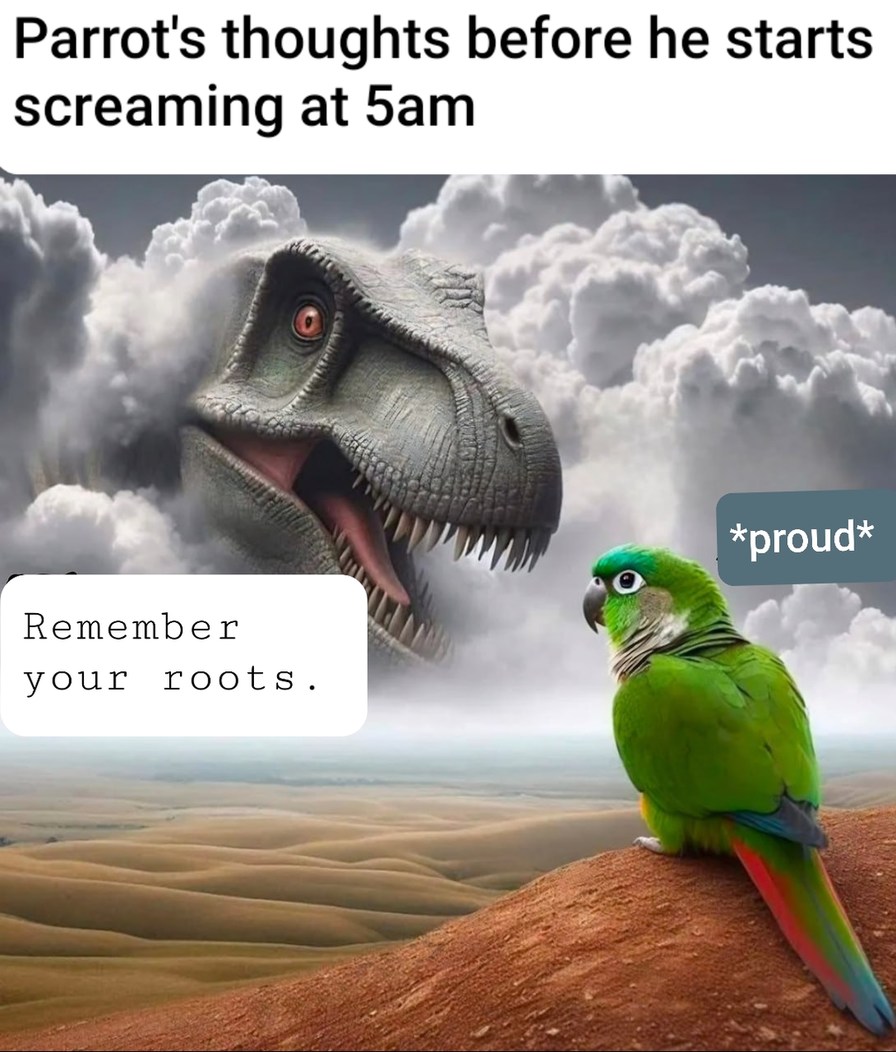 Keep away bird.squeezer - meme