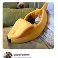 Banana cat....