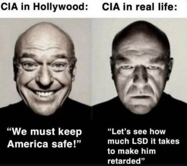 CIA and LSD - meme