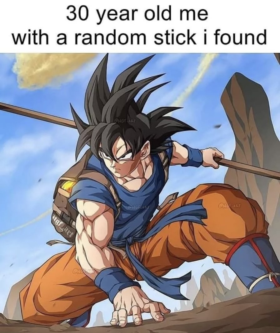 The good old days when we used sticks as swords - meme