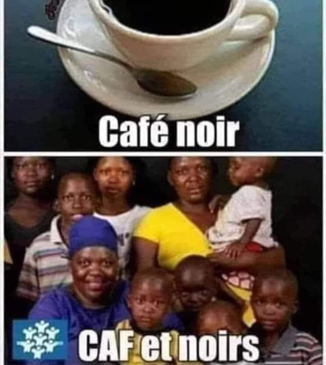 Le café coûte moins cher pour le coup - meme
