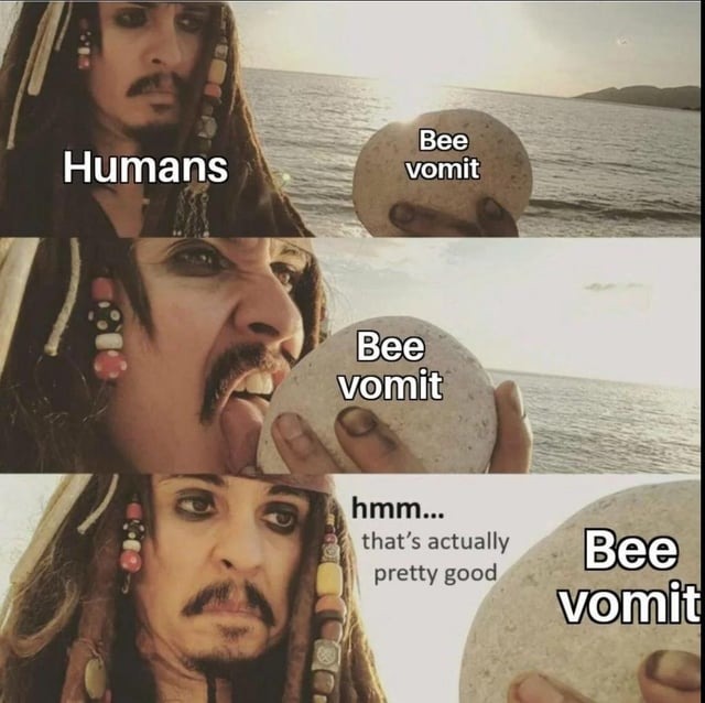 Bee vomit - meme
