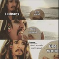 Bee vomit