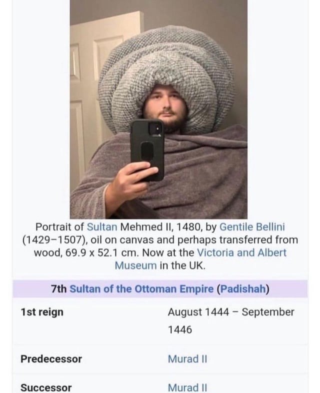 Seems like an accurate portrait of Sultan Mehmeh II - meme