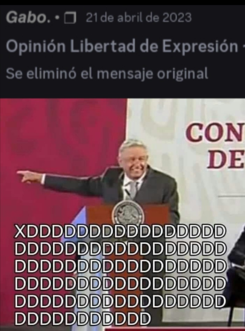 Mientras tanto en un servidor de discord: - meme