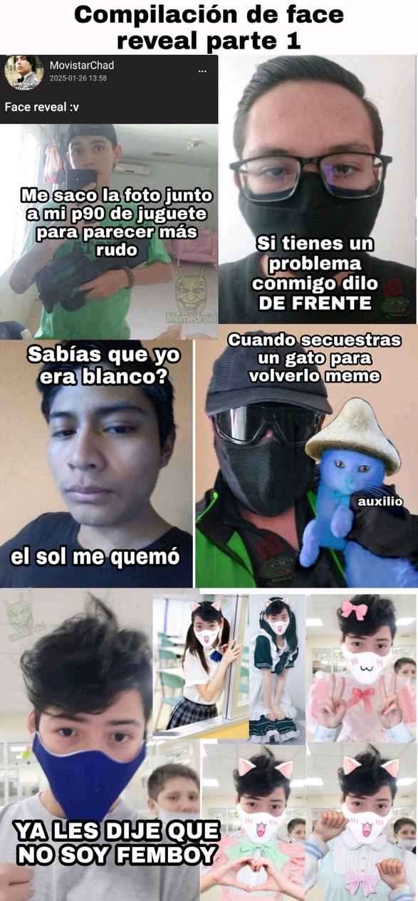 Feis rivil del orto - meme