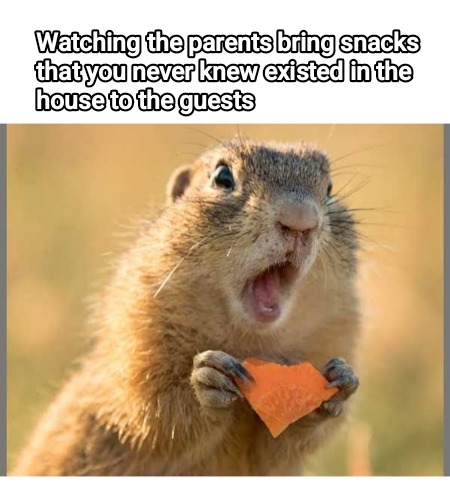 6845e8d266d9b.jpeg
