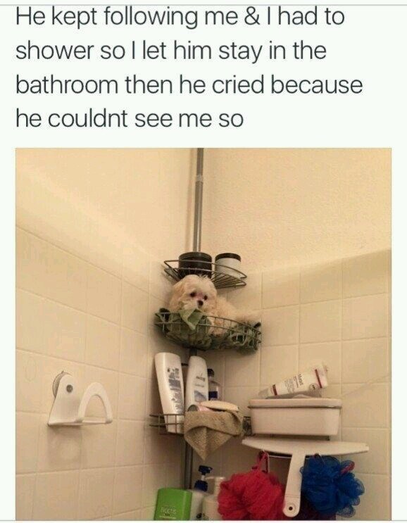 I still wouldn't be able to shower - meme