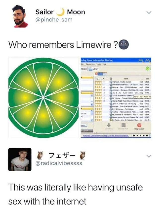 Limewire was literally like having unsafe sex with the Internet - meme