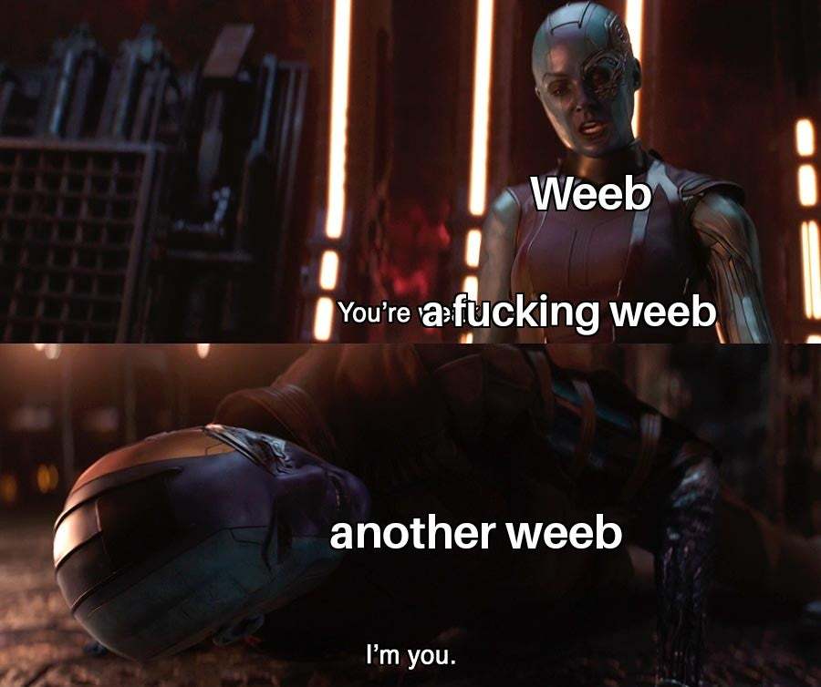 Fucking weebs - meme