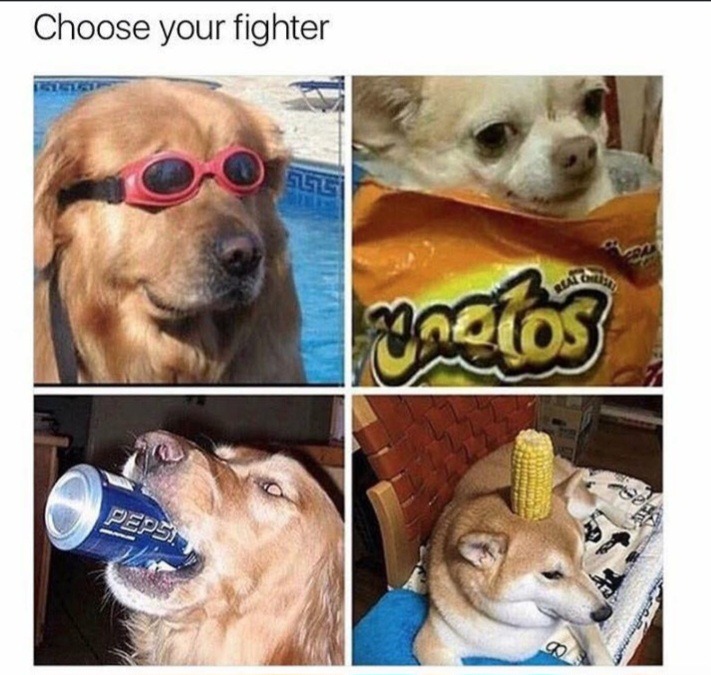 I choose soda dog - meme