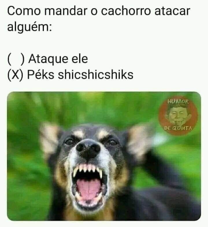 Quantos pets vc tem ? - meme