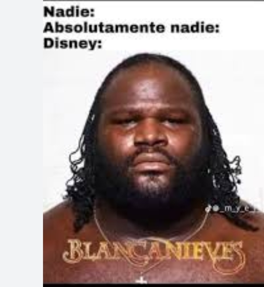 El meme se hizo cánon