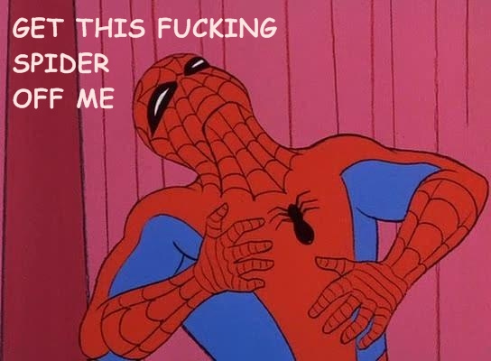 Fucking spiderman - meme