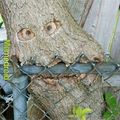 Fence monster