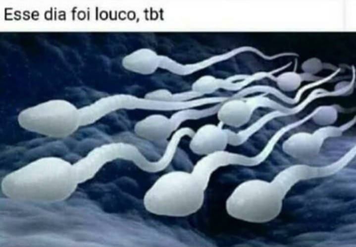 Esperma semi-adulto fodasekkk - meme