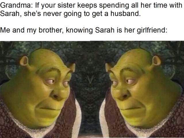 If your sister keeps spending all her time with Sarah, she's never going to get a husband! - meme