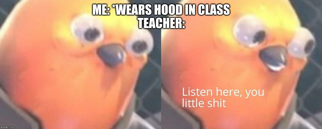 My in my classes - meme