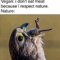 Nature isn’t vegan