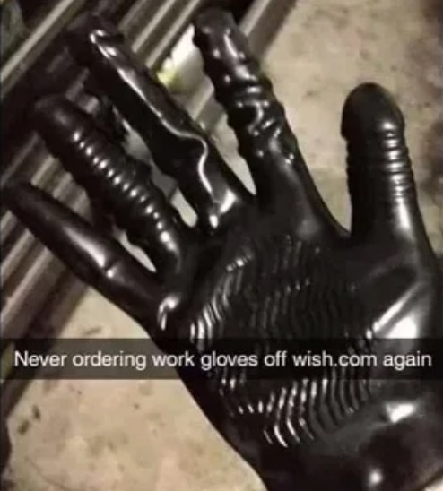 Gloves from Wish - meme