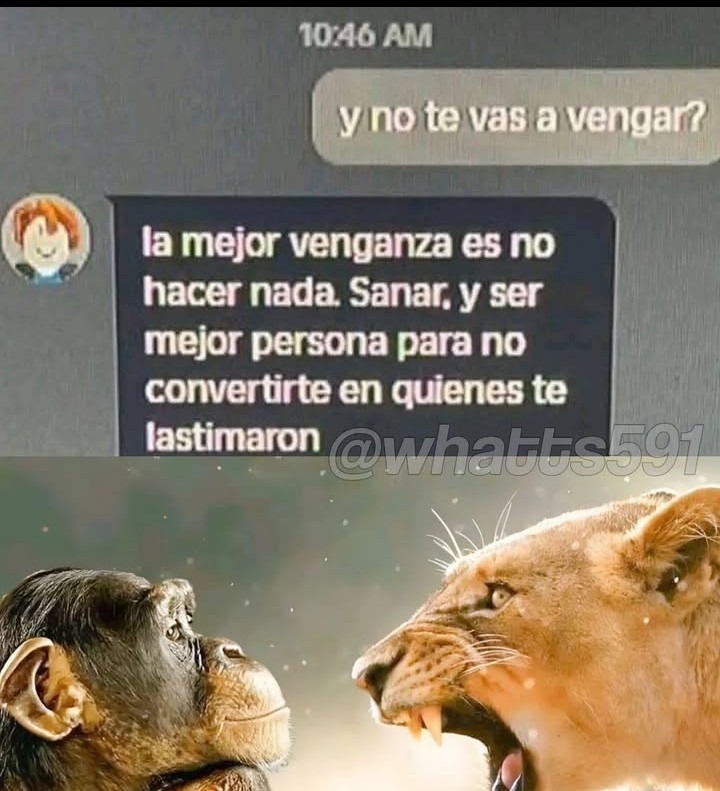 Titi - meme