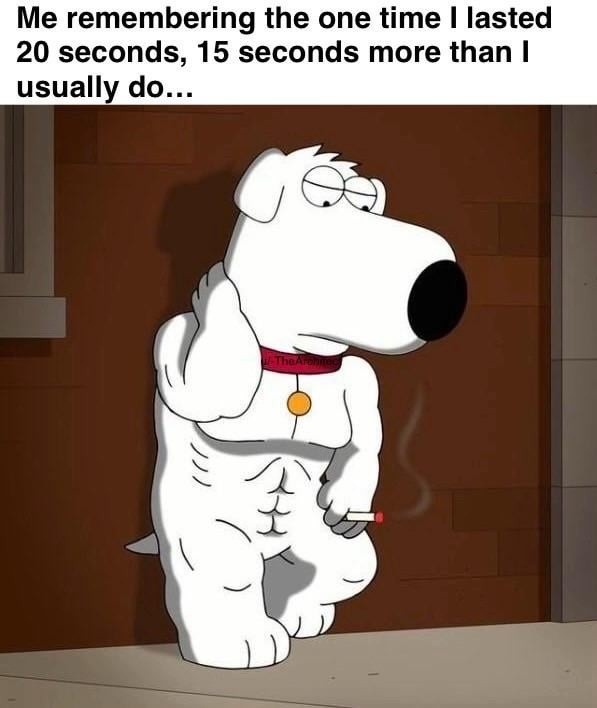 That one time I lasted a whole 20 seconds - meme