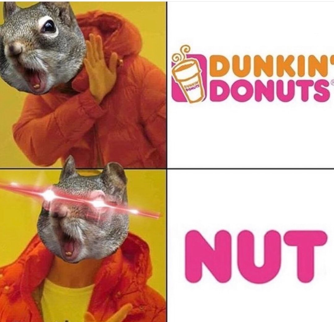 Busting Nuts - meme