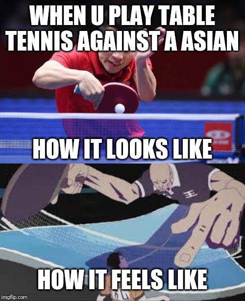 The best Table Tennis memes :) Memedroid