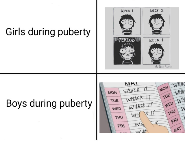 Puberty plans - meme
