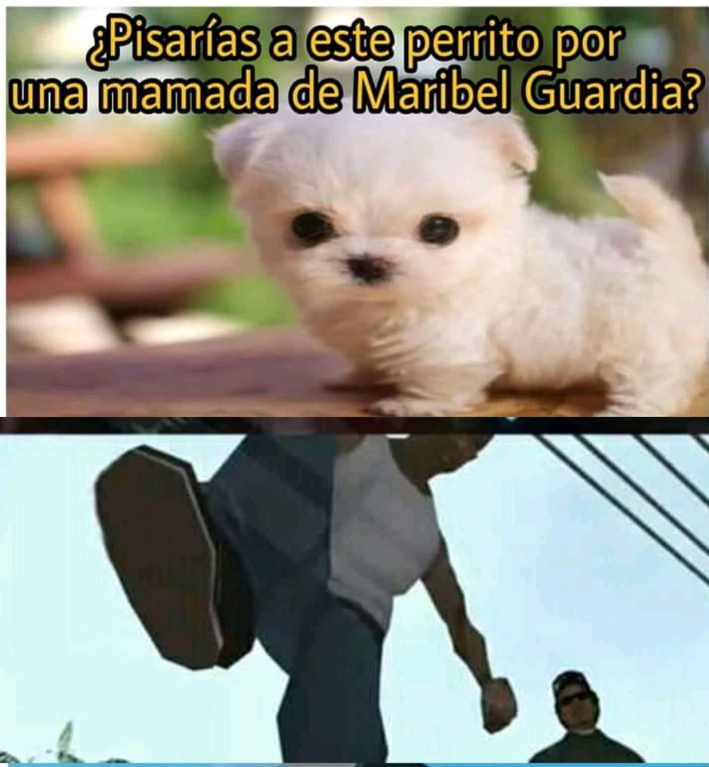 si o no - meme