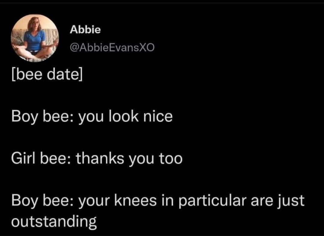 Bee's knees - meme