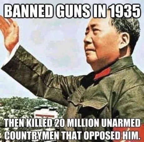 When banning guns leads to absolute madness - meme