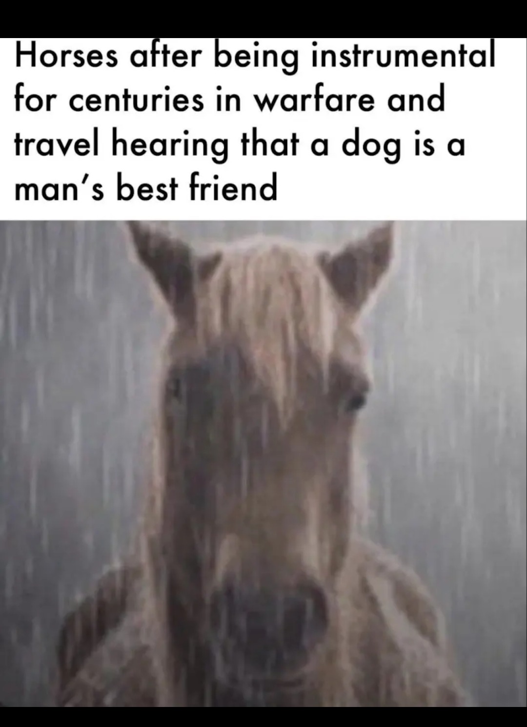Horshit - meme