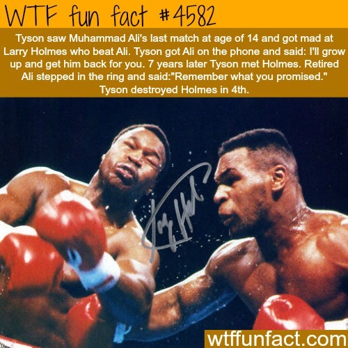 Ali vs Tyson the two goliaths - meme