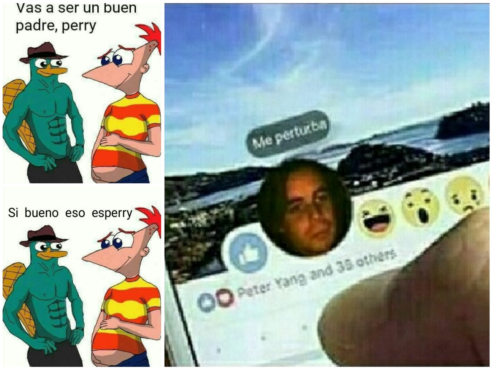 Perry - meme