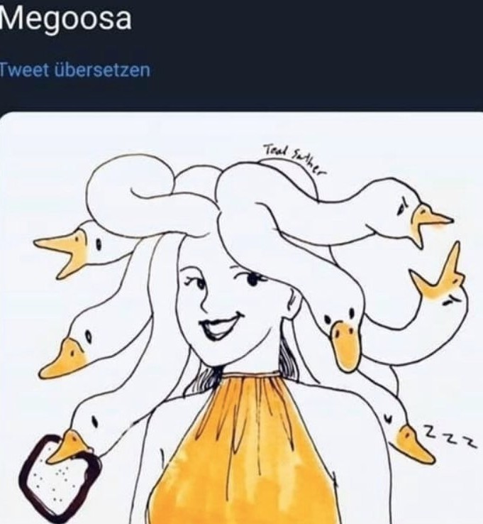 Megoosa - meme