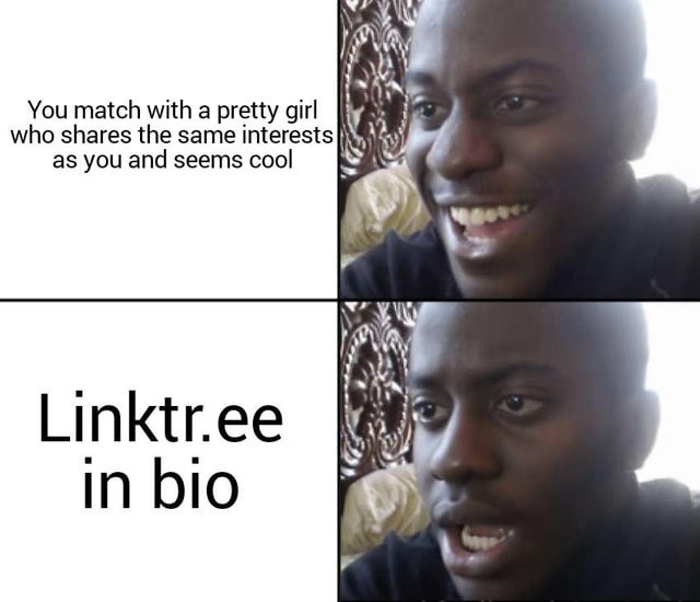 She’s cool, likes what you like, and drops a Linktree... uh oh - meme
