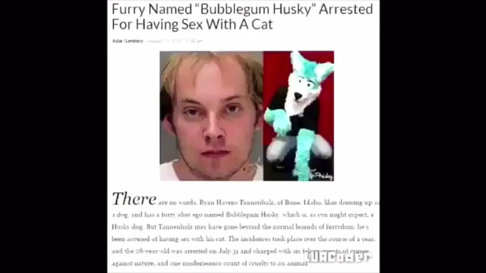 What the f*ck is happen withs this furries? - meme