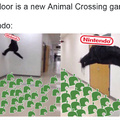 No new animal crossing :(