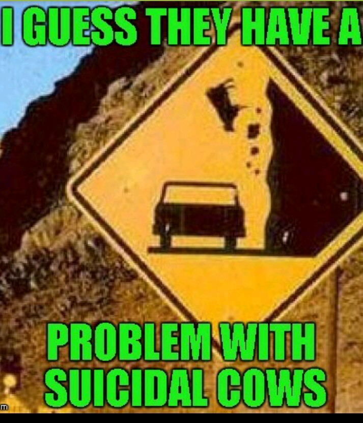 I love cows - meme