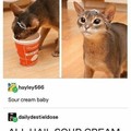 sour cream baby