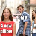 Me who loves pillows