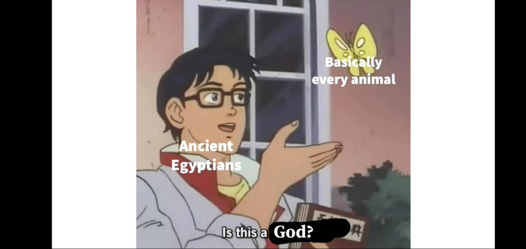 Egyptians have a fetish for animals lol - meme
