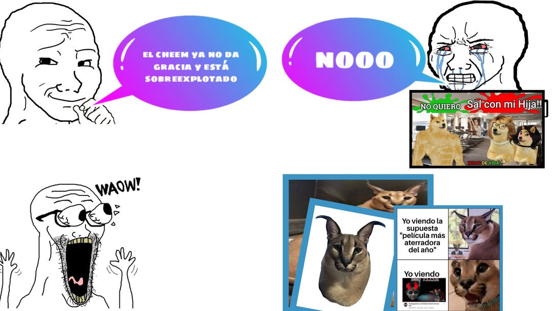 Top memes de Floppa en español :) Memedroid