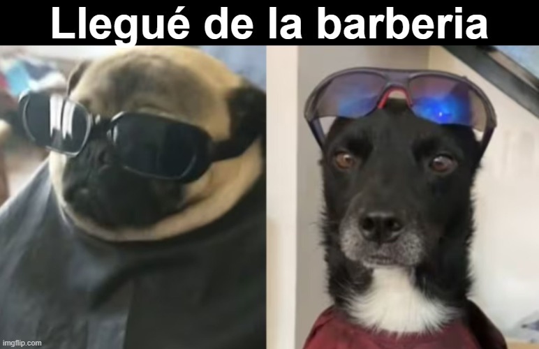 Llegue de la barberia meme