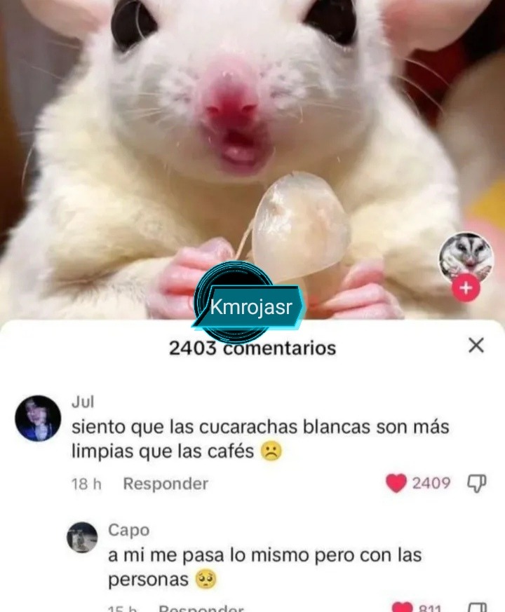 Si - meme