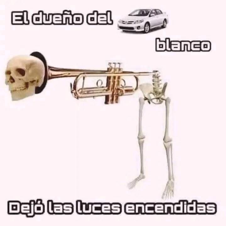 Super malardo borralo bro - meme