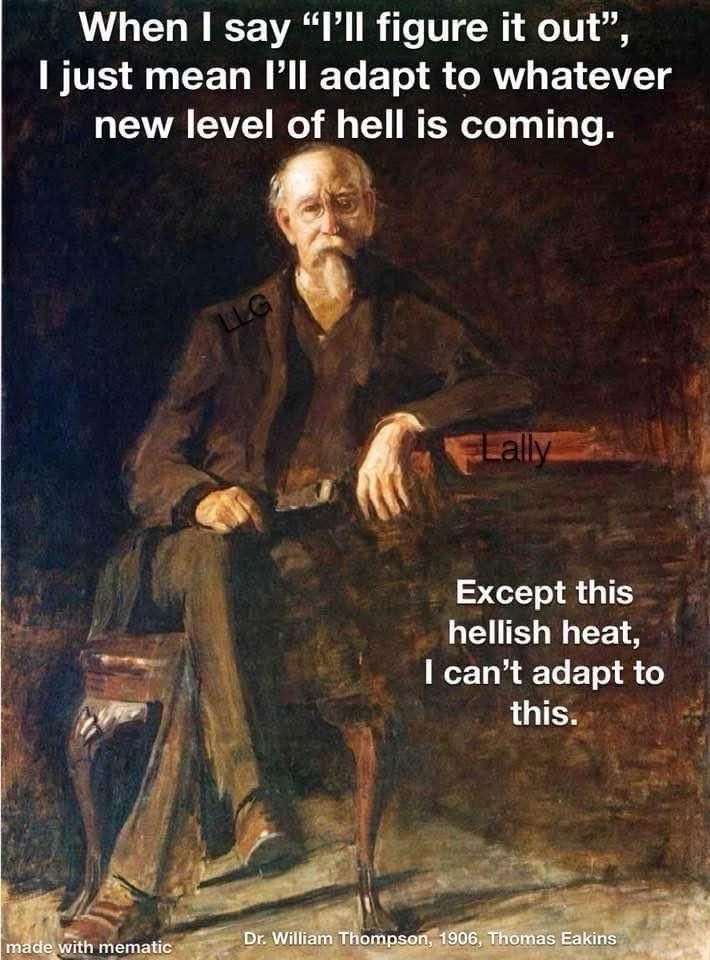 Adapting to every hell except the heat - meme